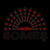Radio Somes