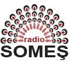 Radio Somes