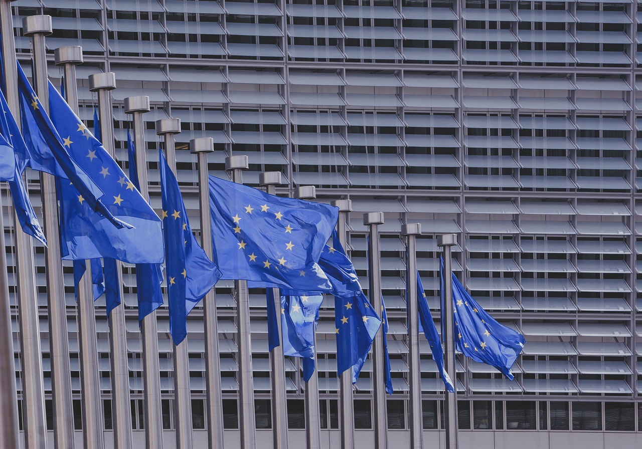 Alegerile locale și europarlamentare 2024: Reguli și obligații în campania electorală