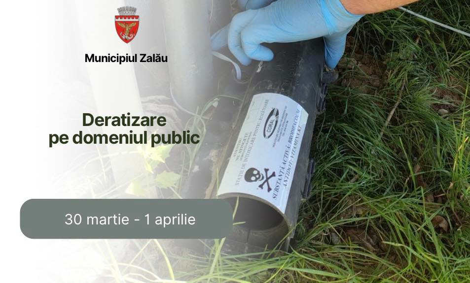 Zalău: Deratizare pe domeniul public!
