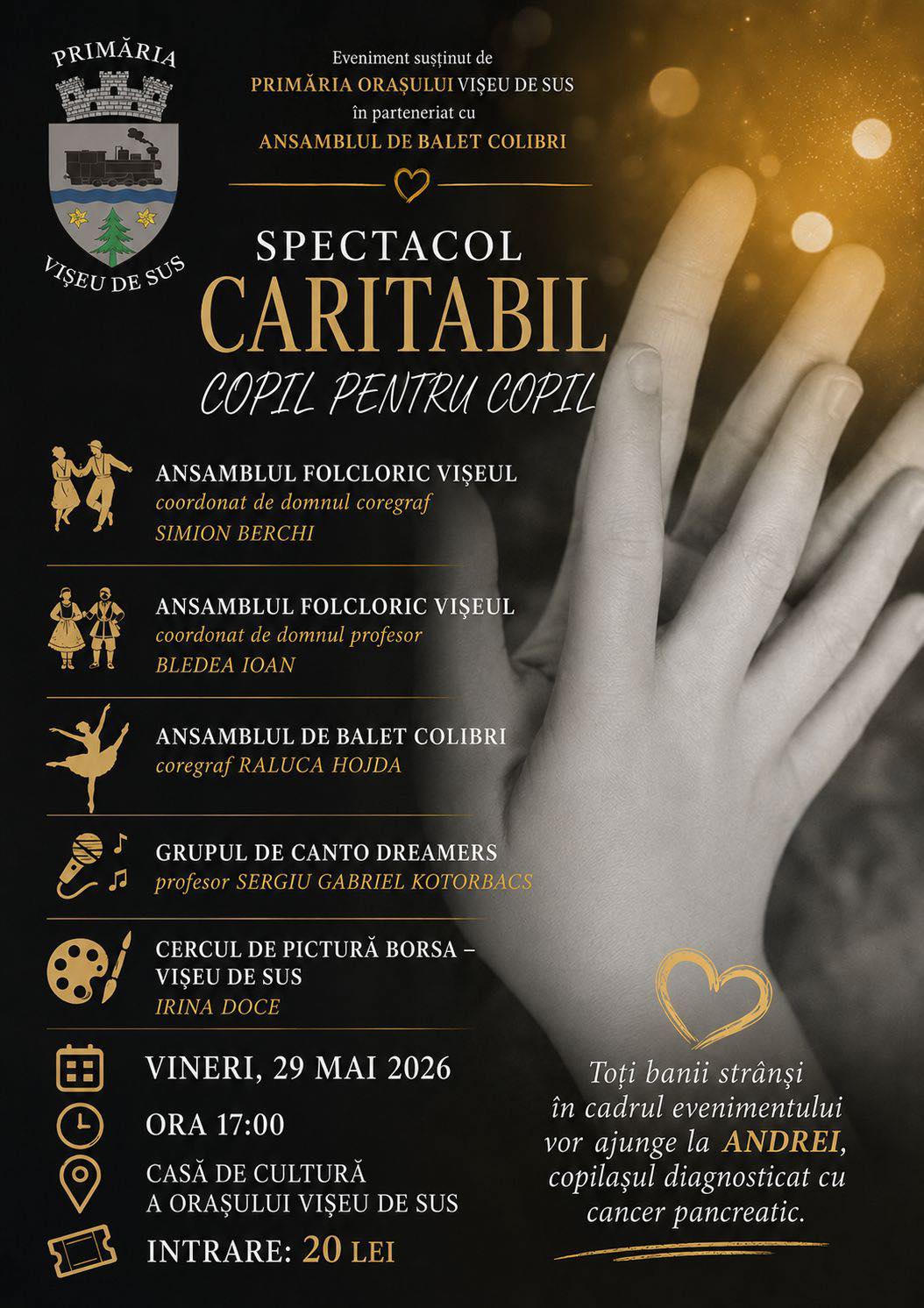Comunitatea din Vișeu de Sus, Maramureș, se mobilizează pentru Andrei: spectacol caritabil „Copil pentru copil” la Casa de Cultură, vineri, 29 mai!